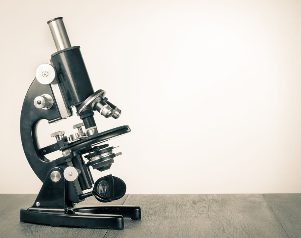 The Significance of Lipid Levels