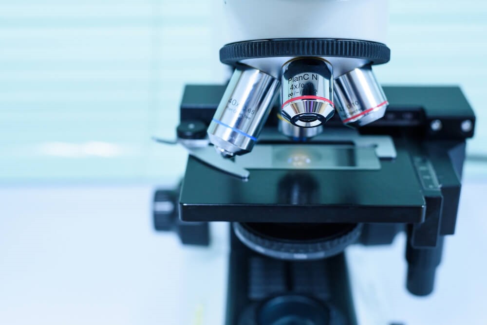 Why They Matter: The Cardiovascular Connection