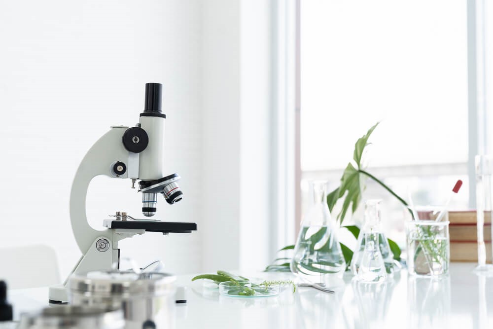 How Xanthomatous Deposits Form